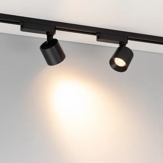 Фото #2 товара Светильник LGD-DYKE-2TR-R75-16W Warm3000 (BK, 38 deg, 230V) (Arlight, IP20 Металл, 5 лет)