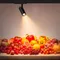 Минифото #2 товара Светильник LGD-GERA-4TR-R74-20W Warm SP3000-Fruit (Белый, 55 deg, 230V) (Arlight, IP20 Металл, 5 лет)