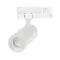 Минифото #1 товара Светильник LGD-ARTEMIS-TRACK-4TR-R55-12W Warm3000 (WH, 8-80 deg, 230V) (Arlight, IP20 Металл, 5 лет)